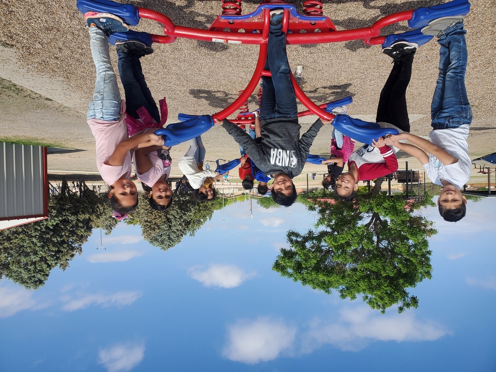 group seesaw