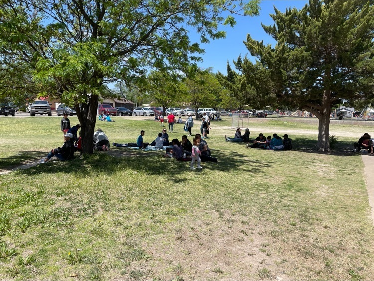 Picnic