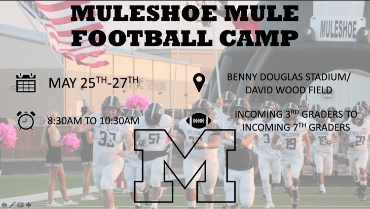 Camp
